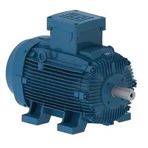 WEG  Motors